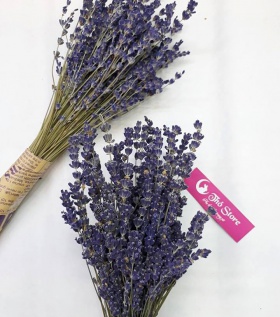 200 cành Lavender - oải hương khô chuẩn Pháp