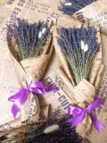 Bó hoa lavender - oải hương khô 150 cành kèm hộp 2