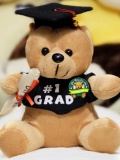 Gấu nâu tốt nghiệp 2