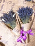 Bó hoa lavender - oải hương khô 150 cành kèm hộp 3