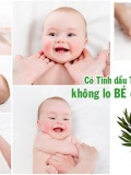 Tinh dầu tràm Huế Bé Thơ nguyên chất 50ml 3