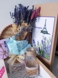 Hộp Quà Lavender xinh xắn điểm Bloom nhiều màu 3
