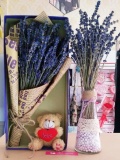 Hoa oải hương - lavender khô 4