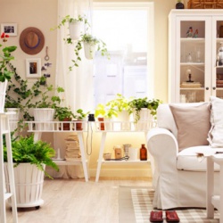 6 điểm về phong thủy cần lưu ý cho gia đình trẻ