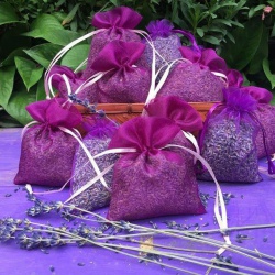 Bất ngờ từ lợi ích của Nụ Lavender oải hương khô