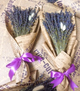 Bó hoa lavender - oải hương khô 150 cành kèm hộp