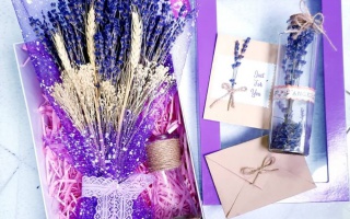 Bộ sưu tập những mẫu quà tặng ngày 8/3