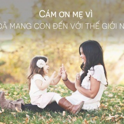 Cảm ơn và xin lỗi mẹ