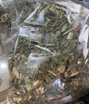 Chè Dây Rừng 