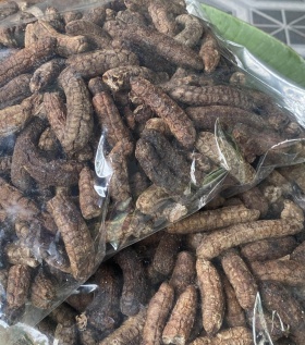 Chuối hột rừng ngâm rượu