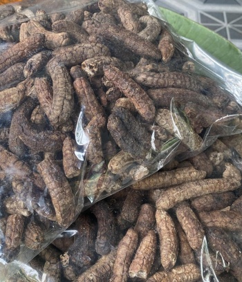 Chuối hột rừng ngâm rượu