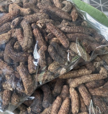 Chuối hột rừng ngâm rượu