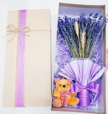 Combo Lavender + gấu bông mini xinh xắn