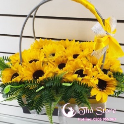 Hoa hướng dương vẻ đẹp cho sự may mắn