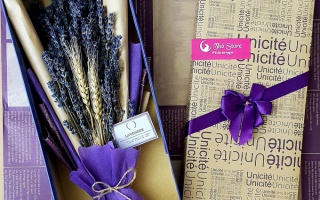 Hoa Lavender món quà hòa hảo cho nửa kia