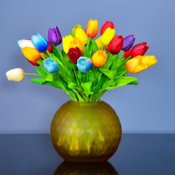 Hoa tulip sự hoàn hảo trong tình yêu