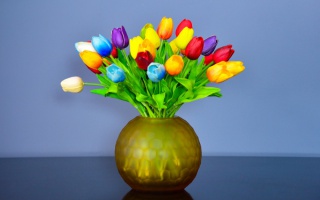 Hoa tulip sự hoàn hảo trong tình yêu