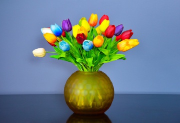 Hoa tulip sự hoàn hảo trong tình yêu