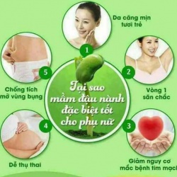 Làm gì để giữ buồng trứng khỏe mạnh?