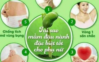 Làm gì để giữ buồng trứng khỏe mạnh?