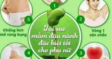 Làm gì để giữ buồng trứng khỏe mạnh?