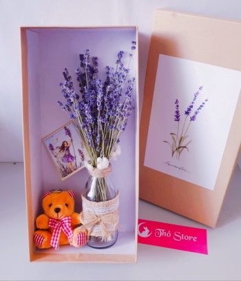 Lọ hoa lavender kèm gấu và hộp