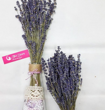 Lọ Lavender 100 cành để bàn làm việc