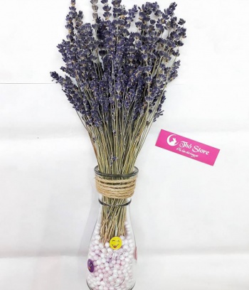 Lọ Lavender 200 cành để bàn làm việc