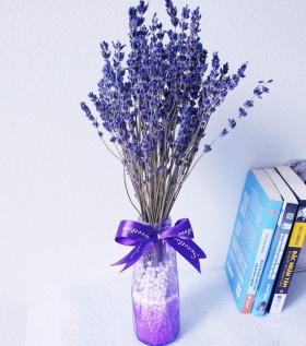Lọ Lavender nhỏ để bàn