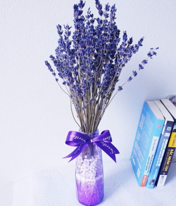 Lọ Lavender nhỏ để bàn