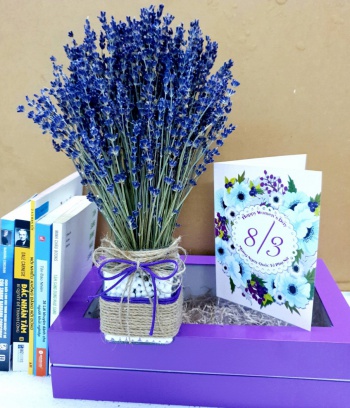 Lọ Lavender vuông kèm hộp