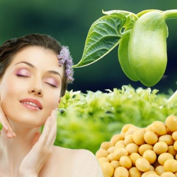 Mầm đậu nành – người bạn tốt của mọi phụ nữ