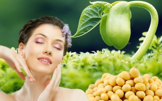 Mầm đậu nành – người bạn tốt của mọi phụ nữ
