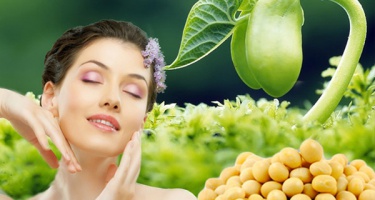Mầm đậu nành – người bạn tốt của mọi phụ nữ