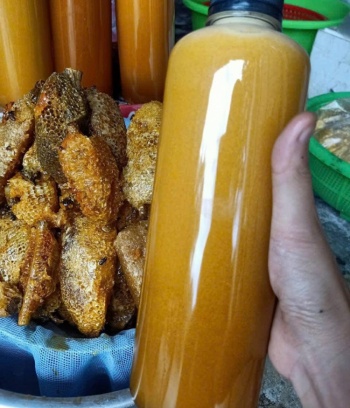 Mật ong rừng