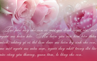 Những lời chúc hay nhất cho ngày 20/10