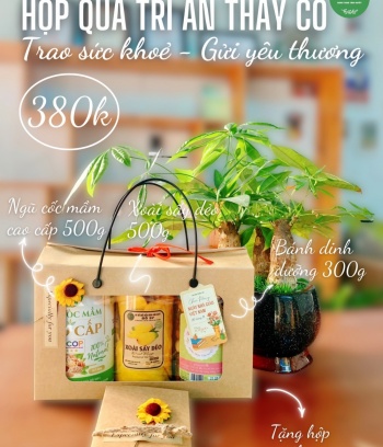 Set quà 20/11 từ ngũ cốc mầm