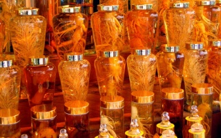 Sử dụng rượu trắng nguyên chất để ngâm rượu