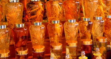 Sử dụng rượu trắng nguyên chất để ngâm rượu