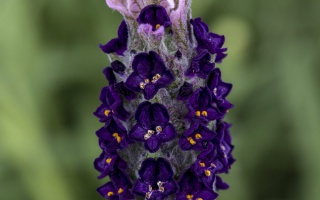 Tìm lại chính mình