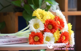 Top 5 loại hoa trang trí phòng ngủ