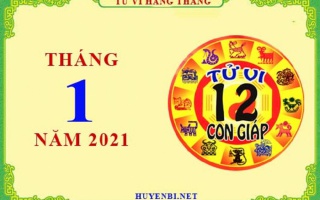 Tử vi tháng 1/2021 của 12 con giáp