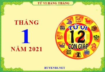 Tử vi tháng 1/2021 của 12 con giáp
