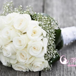 Ý nghĩa trong từng sắc màu của hoa hồng