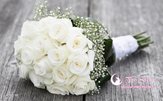 Ý nghĩa trong từng sắc màu của hoa hồng