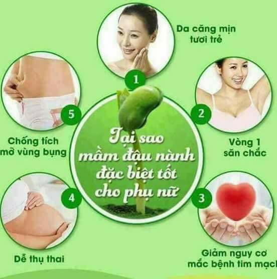 tinh chat mam dau giup buong trung tot hon
