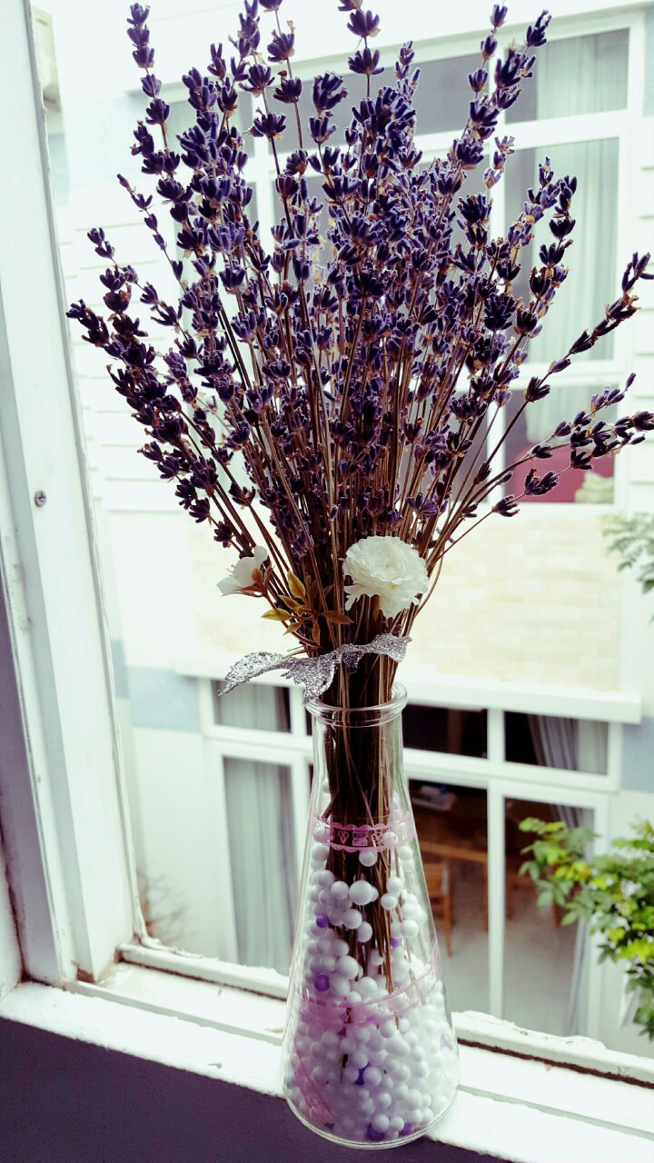 lo lavender de ban
