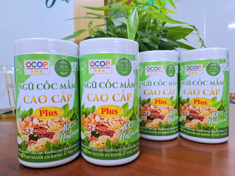 ngu coc mam cao cap plus