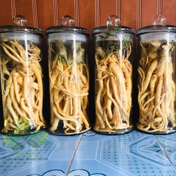 ngam ruou dinh lang don gian mà dung chuan