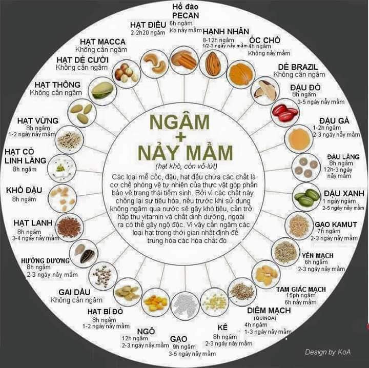 thoi gian nay mam cua cac loai hat